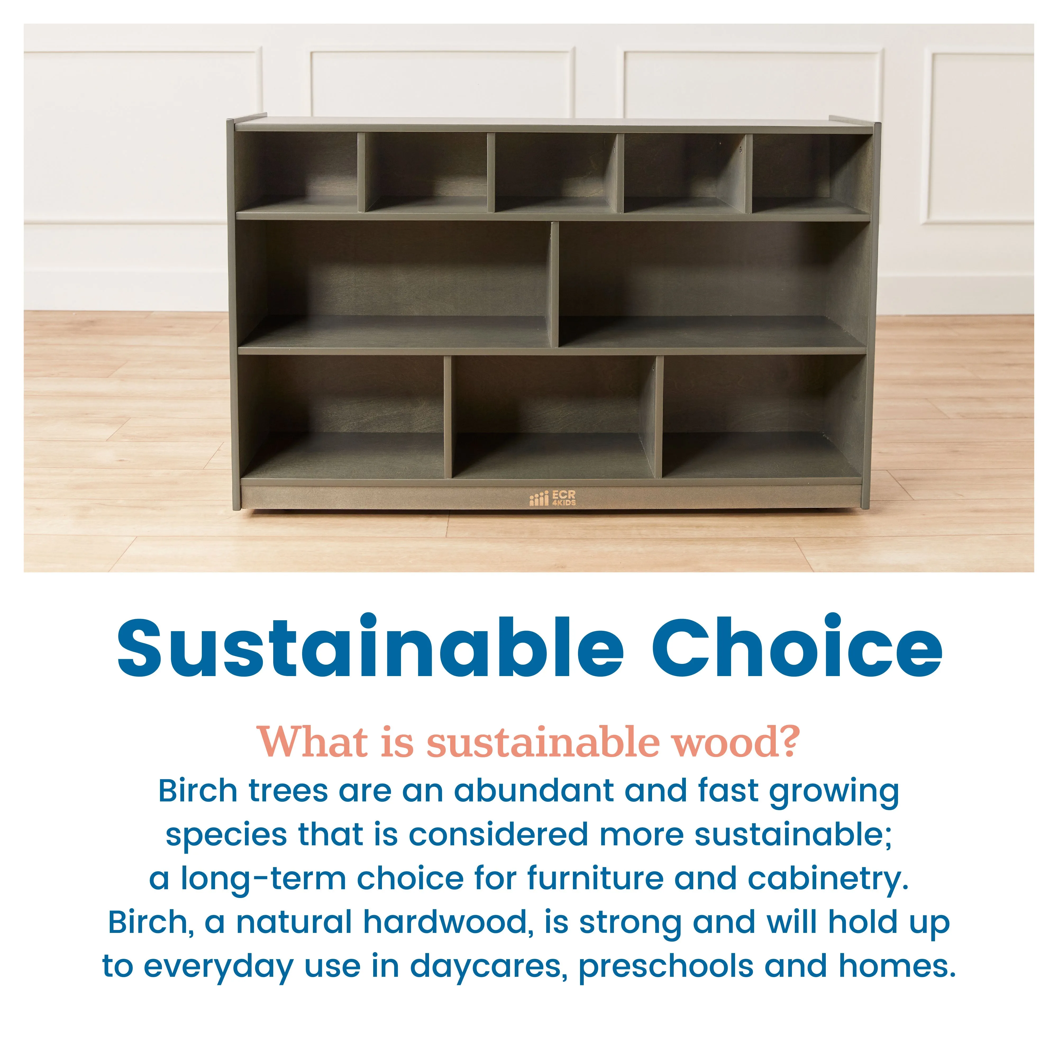 5 5 Mobile Storage and Tray Cabinet