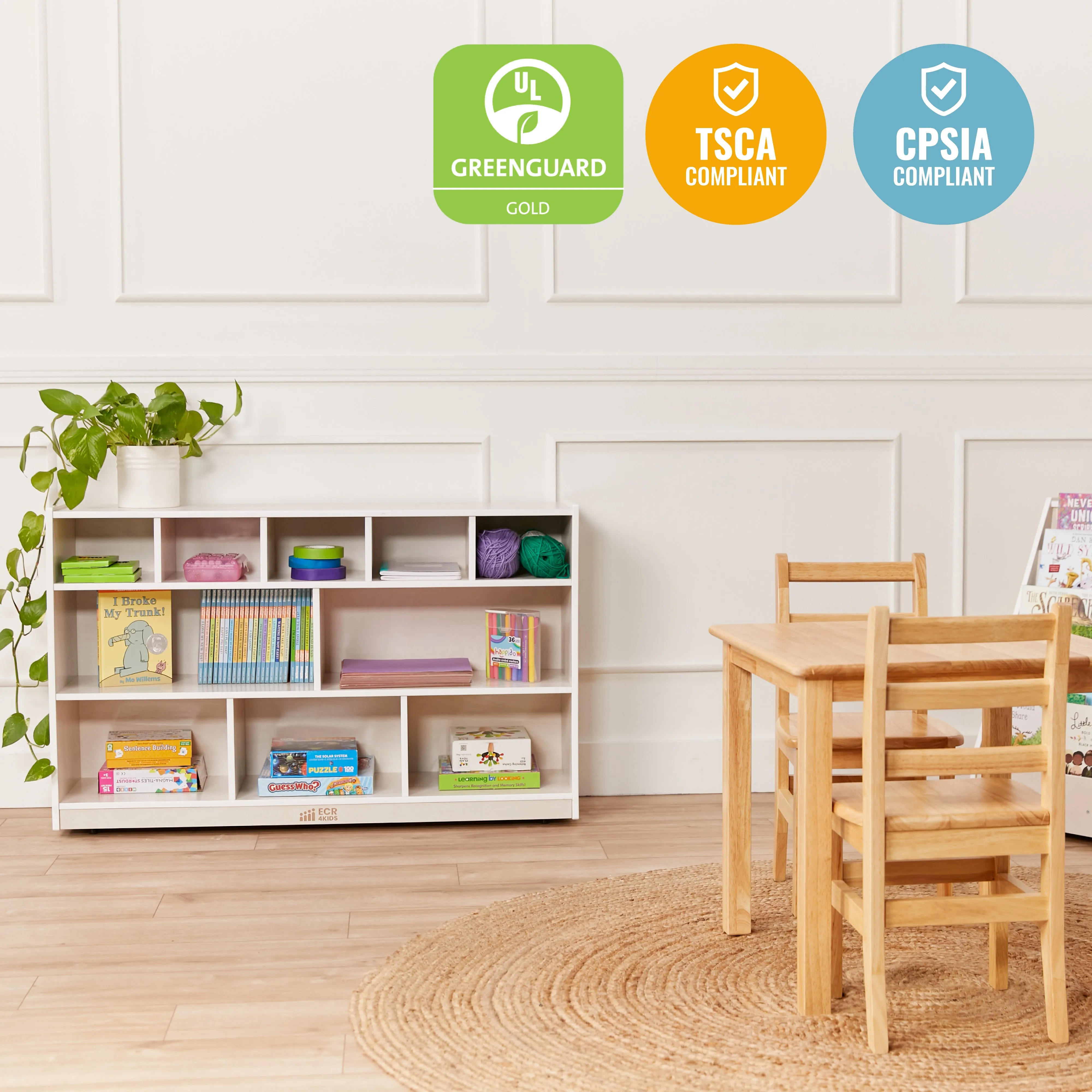 5 5 Mobile Storage and Tray Cabinet