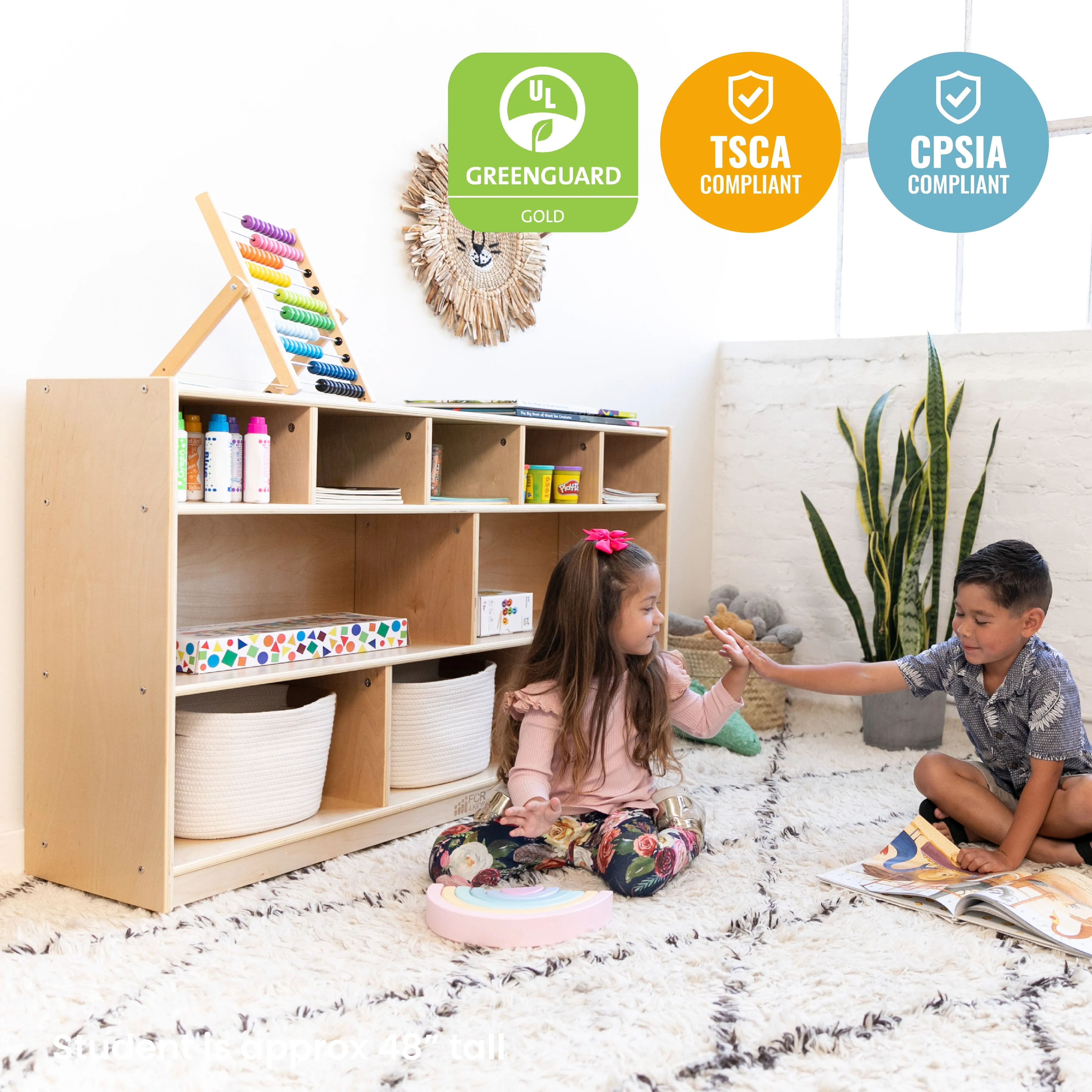 5 5 Mobile Storage and Tray Cabinet