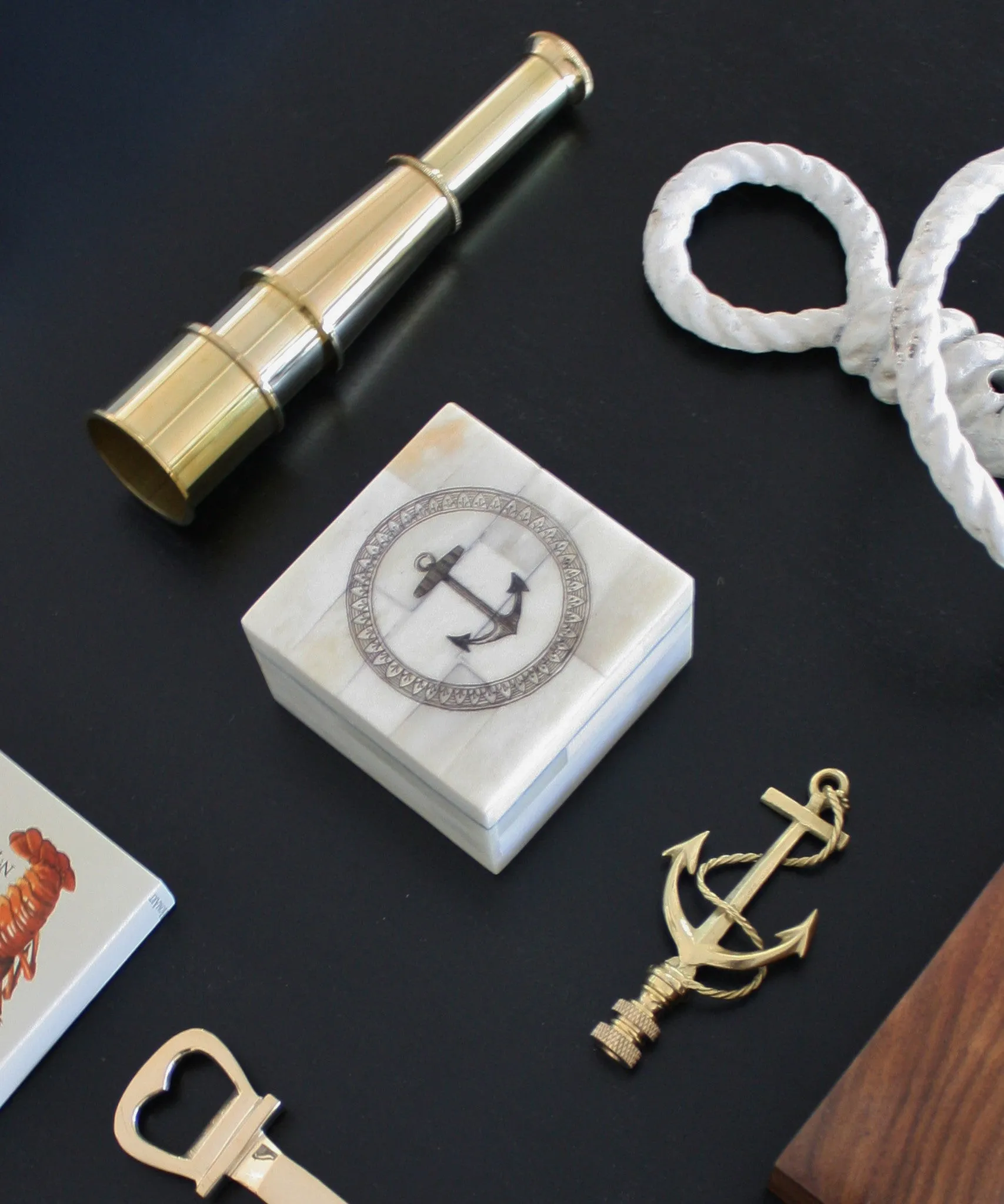 Bone Clad Storage Box with Anchor
