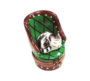 Cat in Green Chair