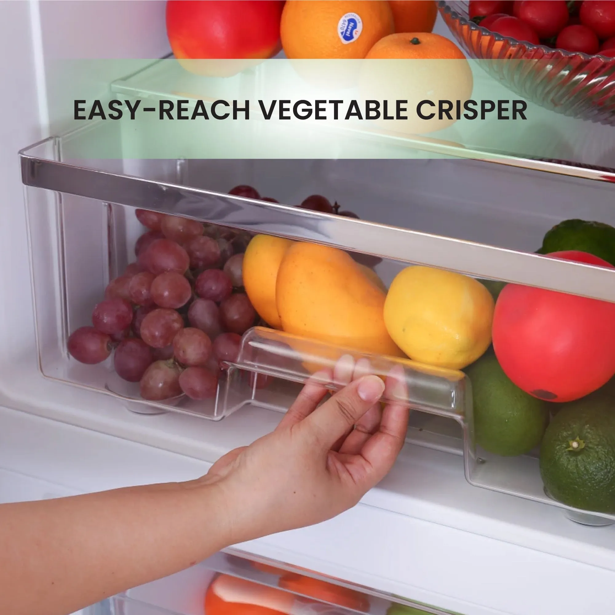 Conserv 24in RETRO BOTTOM MOUNT 11cf Refrigerator Fast Freeze 110V