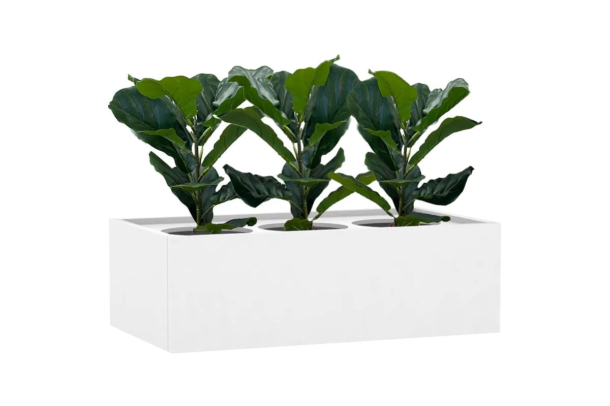 Fiddle 12 Leaves 500mm High - Set of 3
