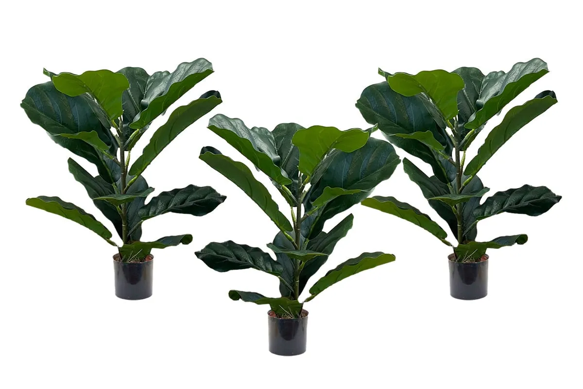 Fiddle 12 Leaves 500mm High - Set of 3