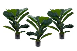 Fiddle 12 Leaves 500mm High - Set of 3