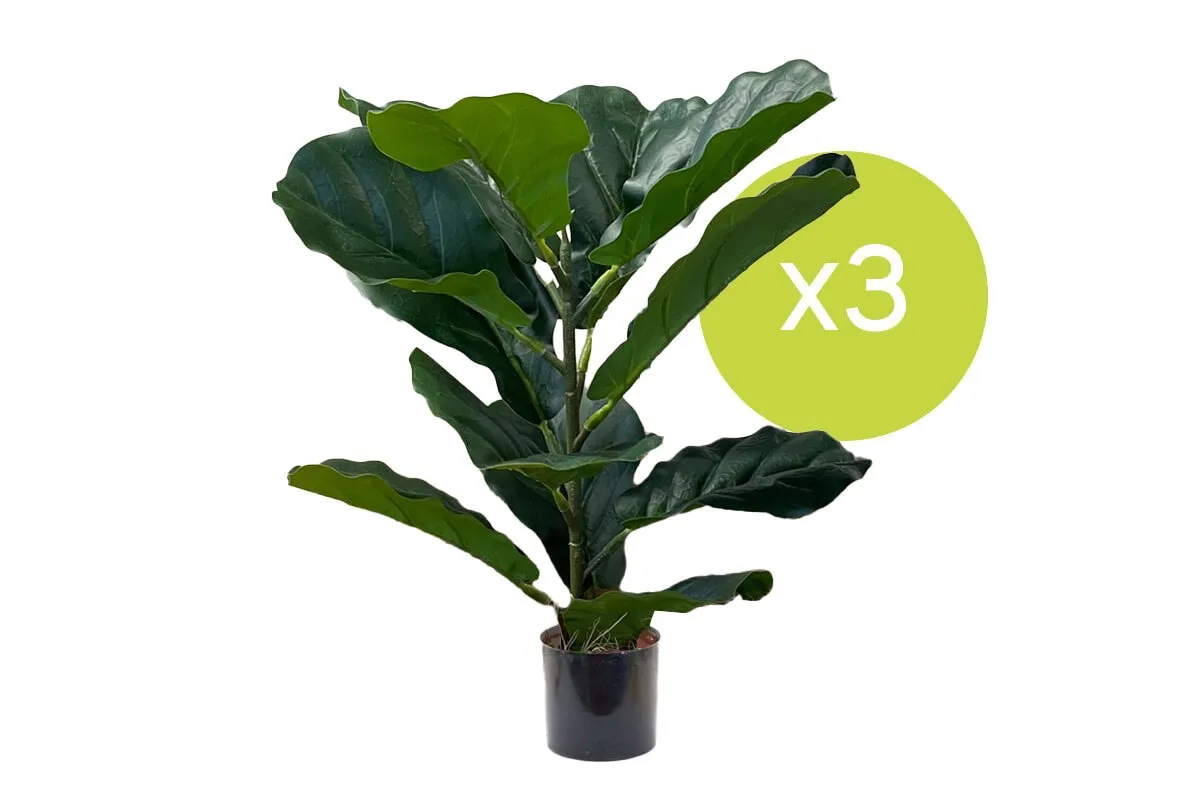 Fiddle 12 Leaves 500mm High - Set of 3