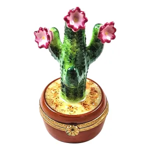 FLOWERING CACTUS IN POT
