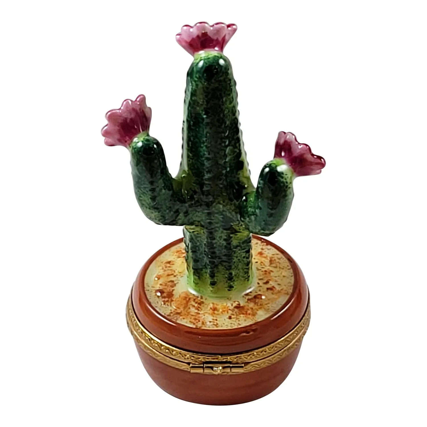 FLOWERING CACTUS IN POT