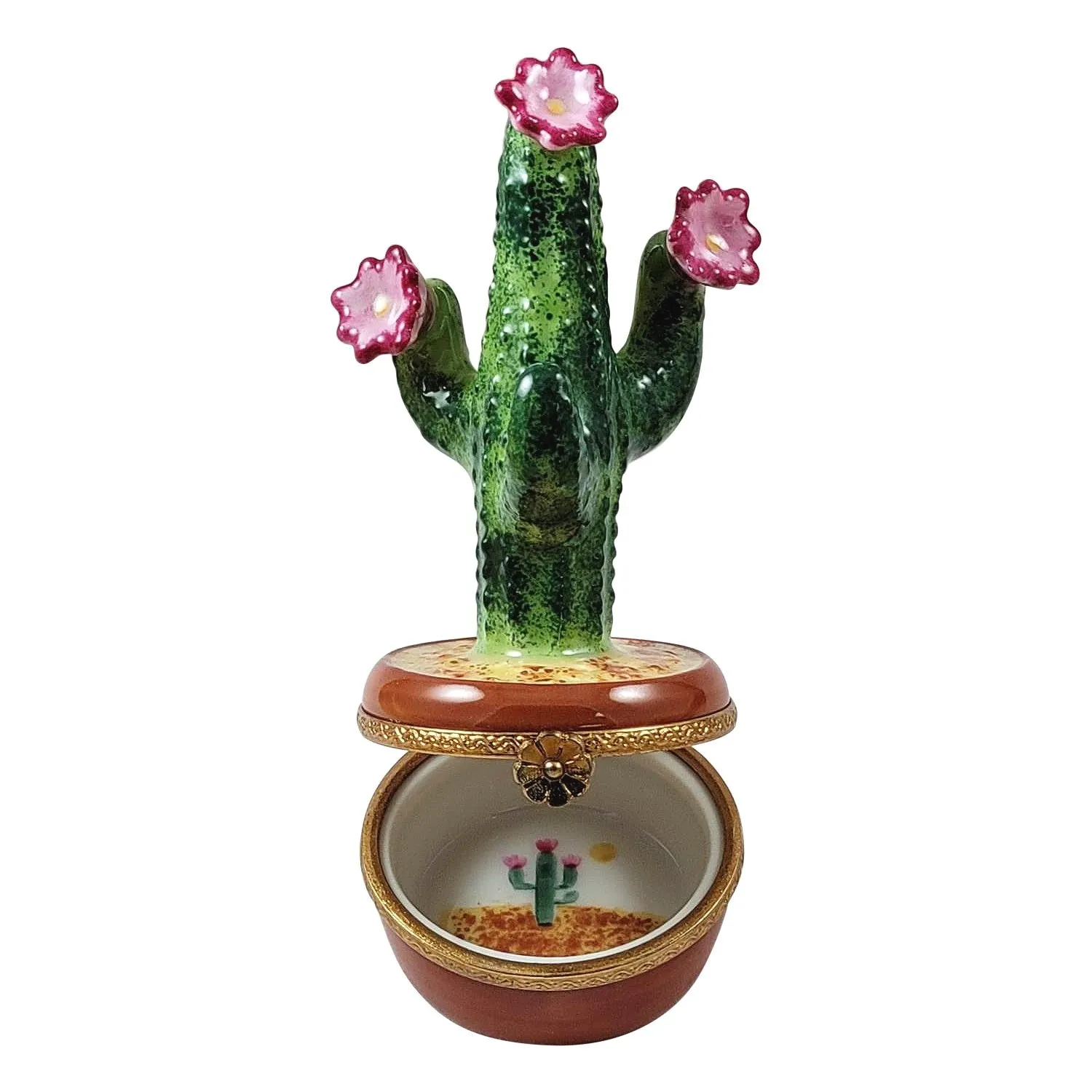 FLOWERING CACTUS IN POT