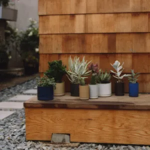 Hasami Porcelain Planter