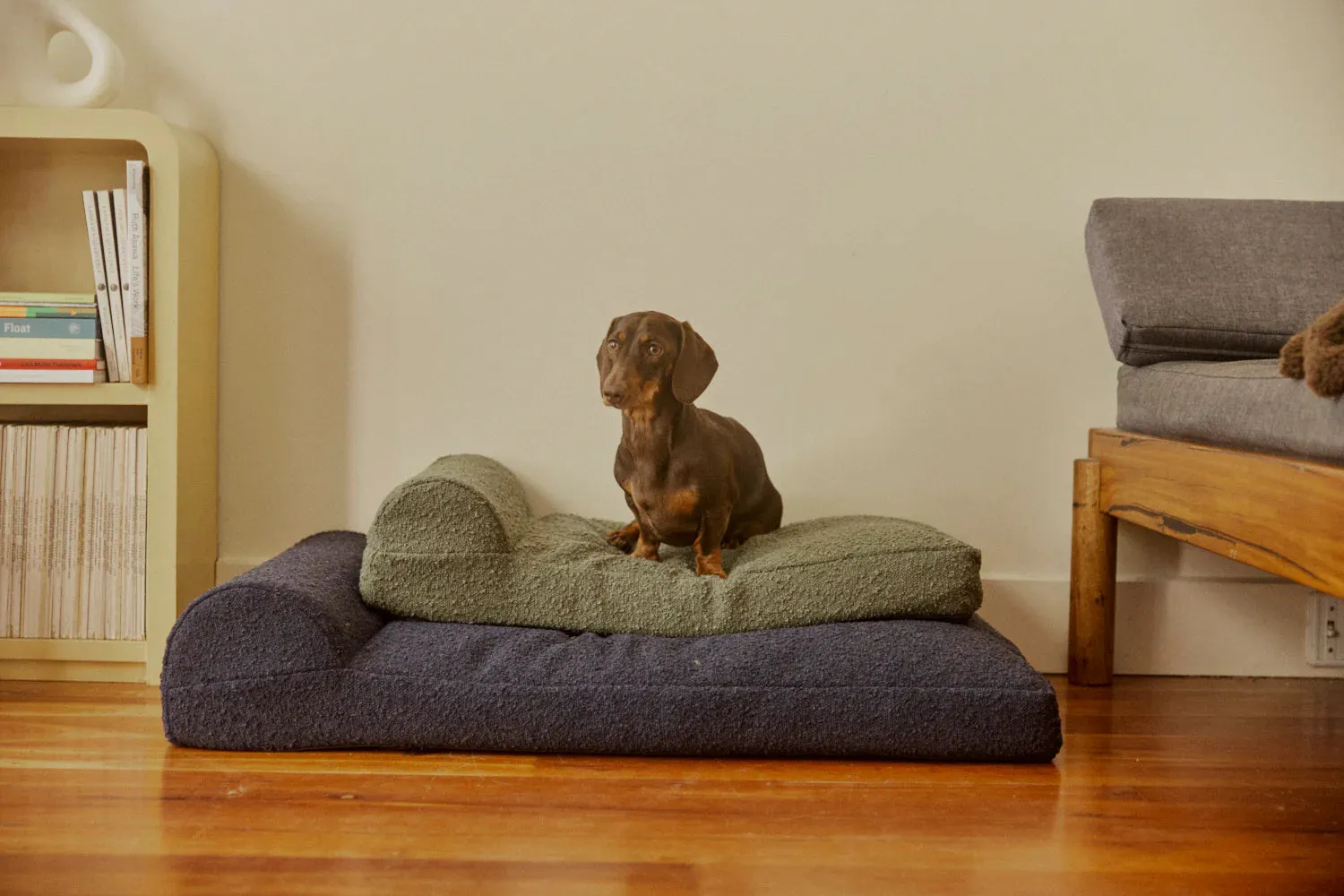 Hommey Boucle Pet Bed - Olive