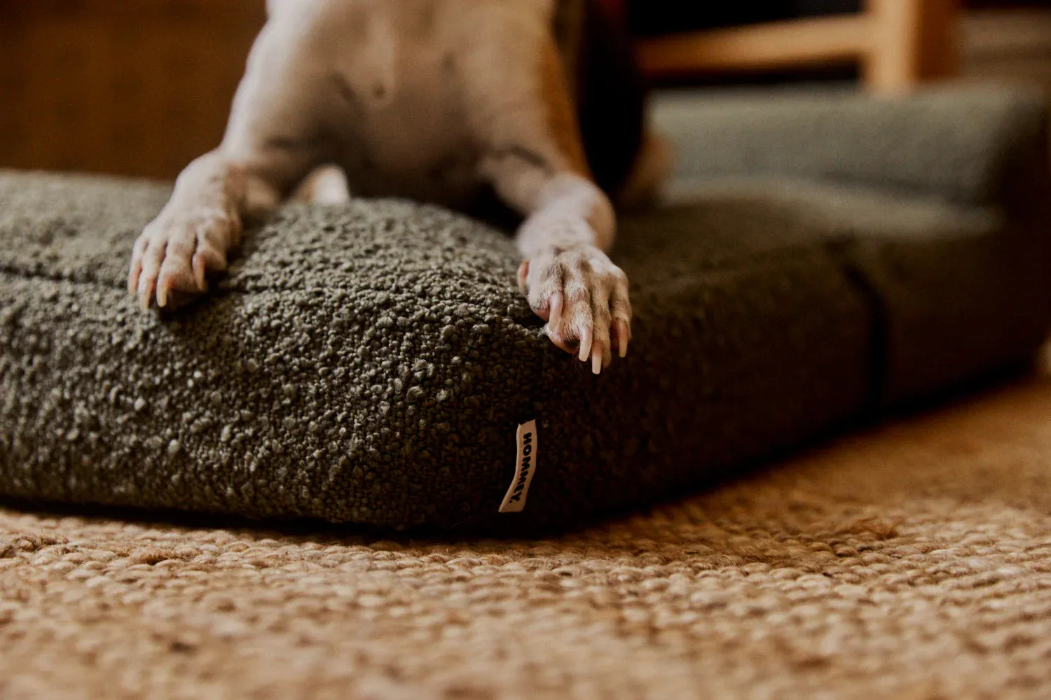 Hommey Boucle Pet Bed - Olive