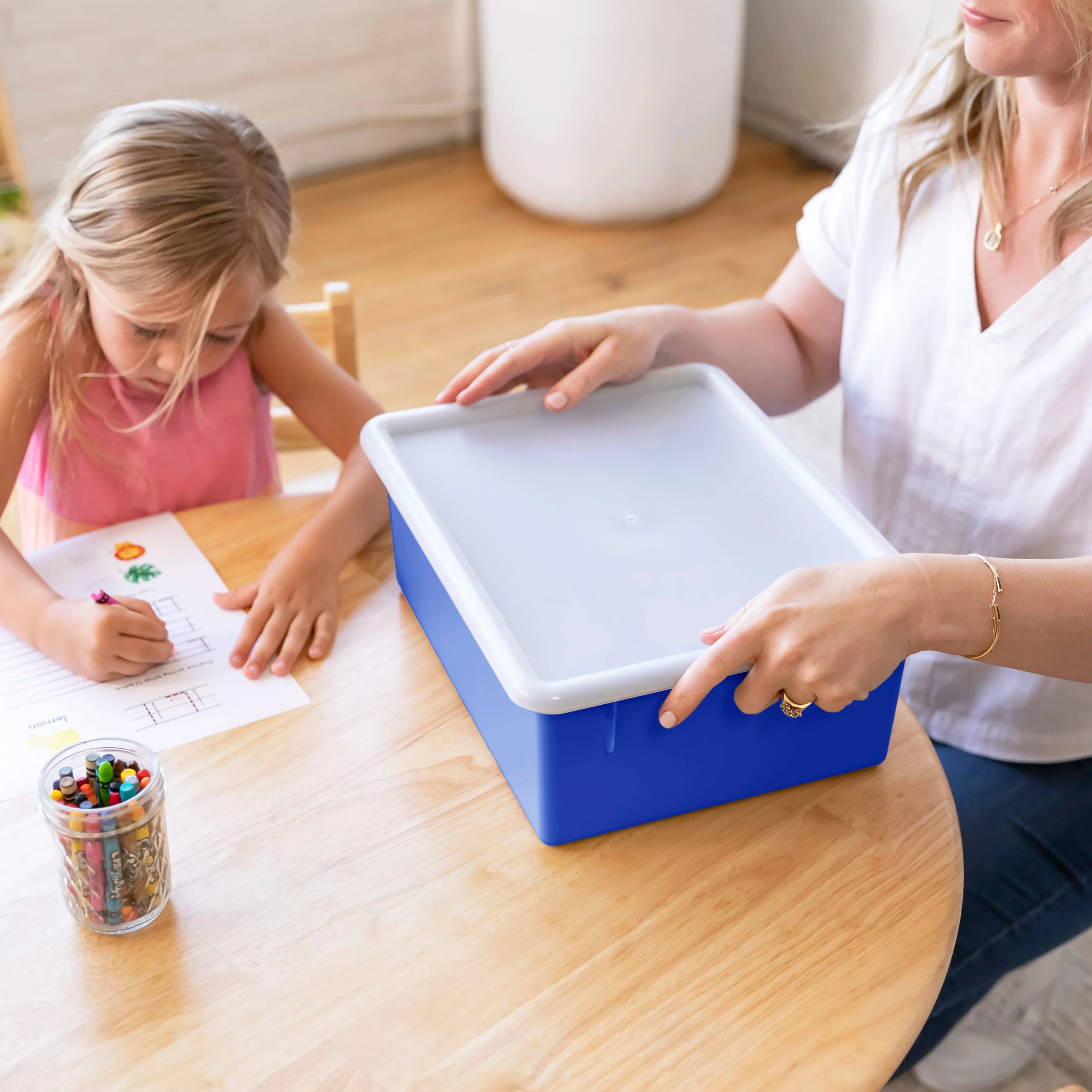 Letter Size Deep Tray with Lid, Storage Bin, 10-Piece