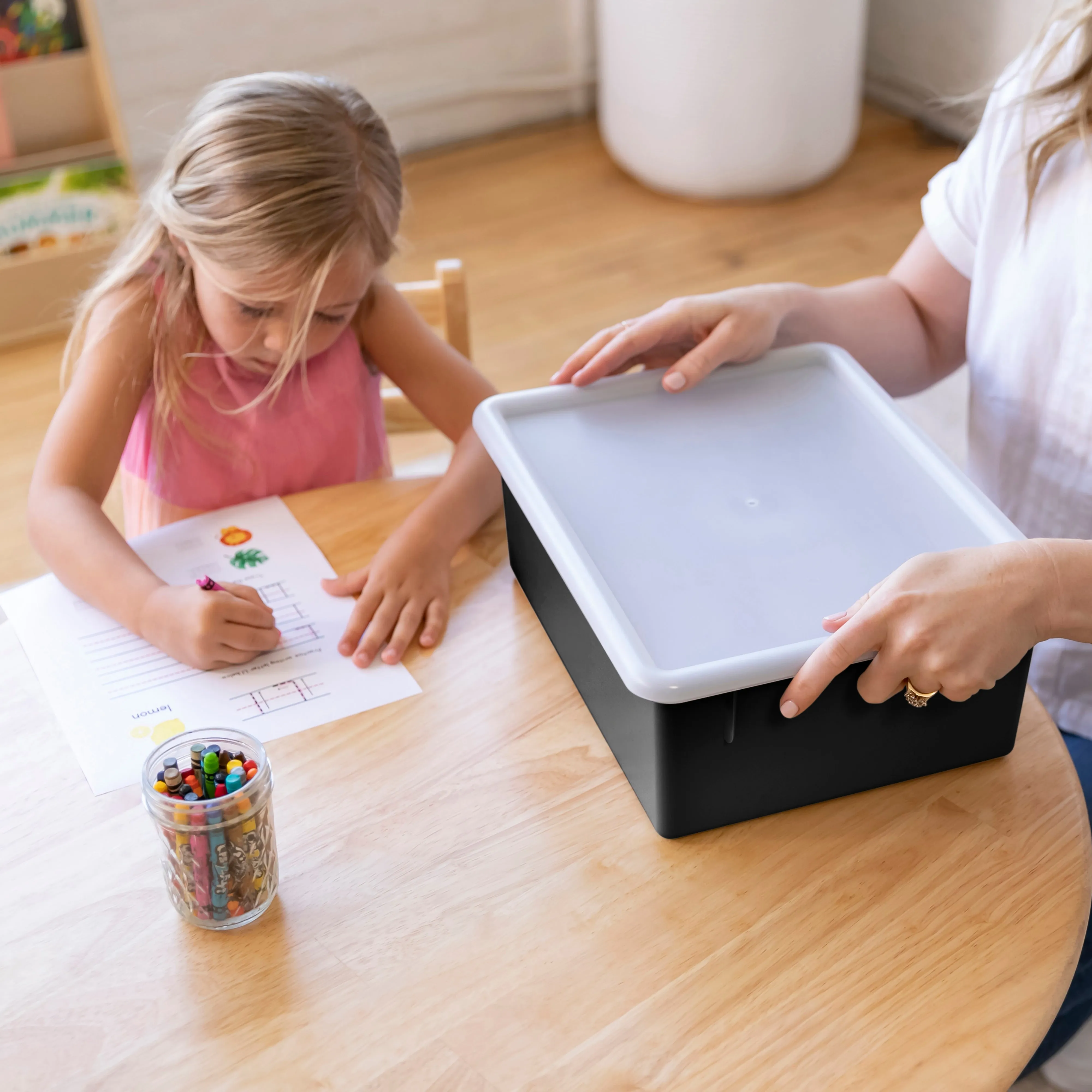 Letter Size Deep Tray with Lid, Storage Bin, 10-Piece