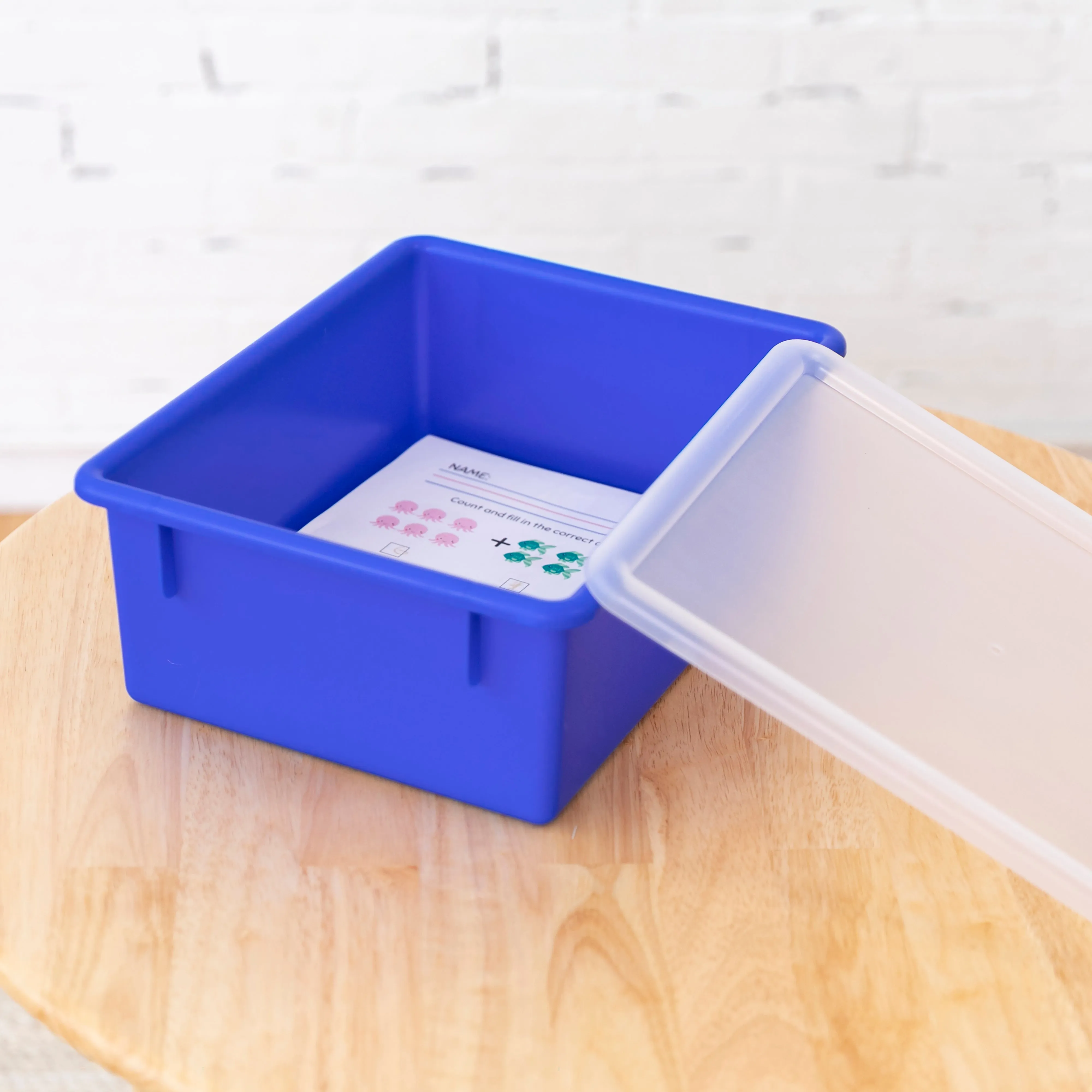 Letter Size Deep Tray with Lid, Storage Bin, 10-Piece