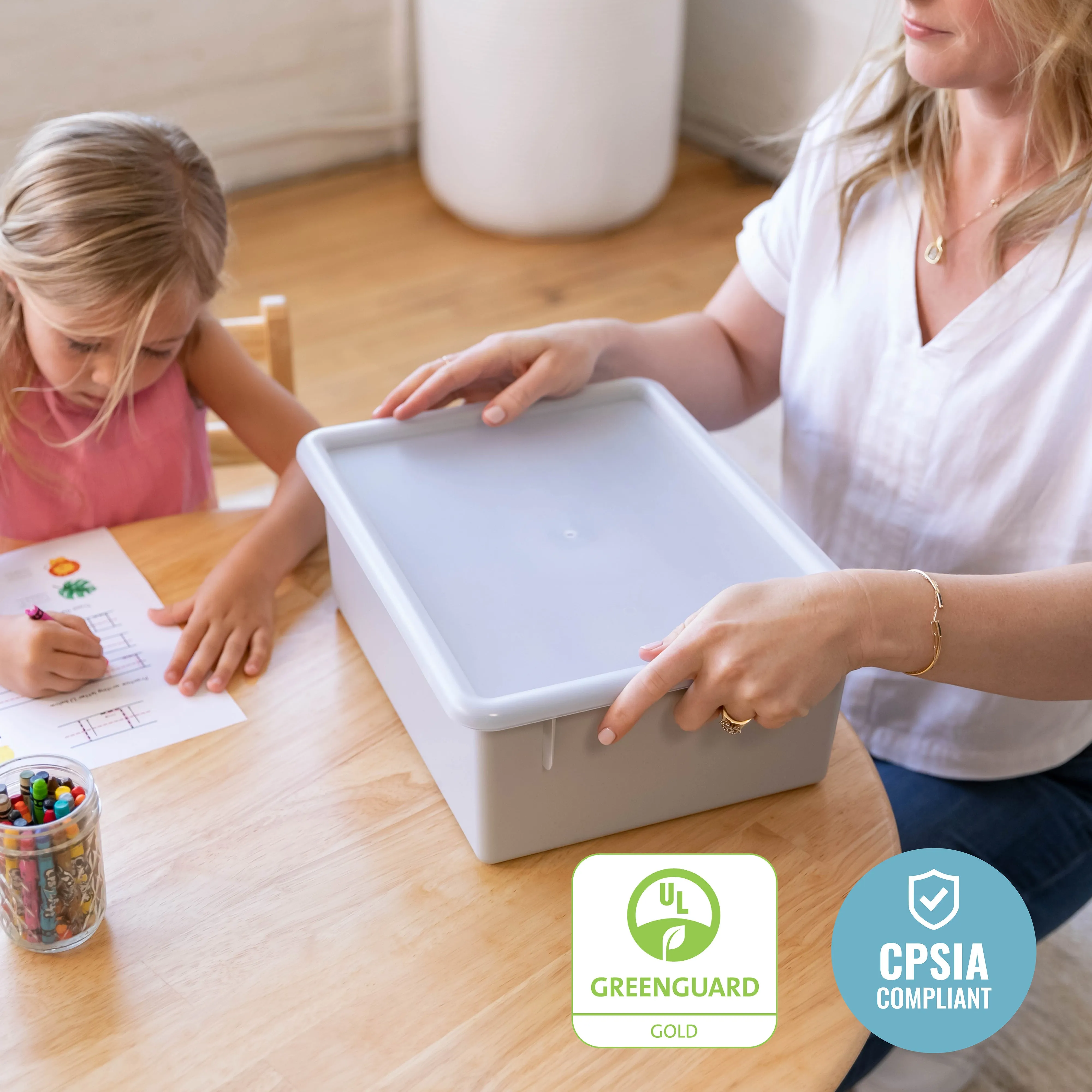 Letter Size Deep Tray with Lid, Storage Bin, 10-Piece