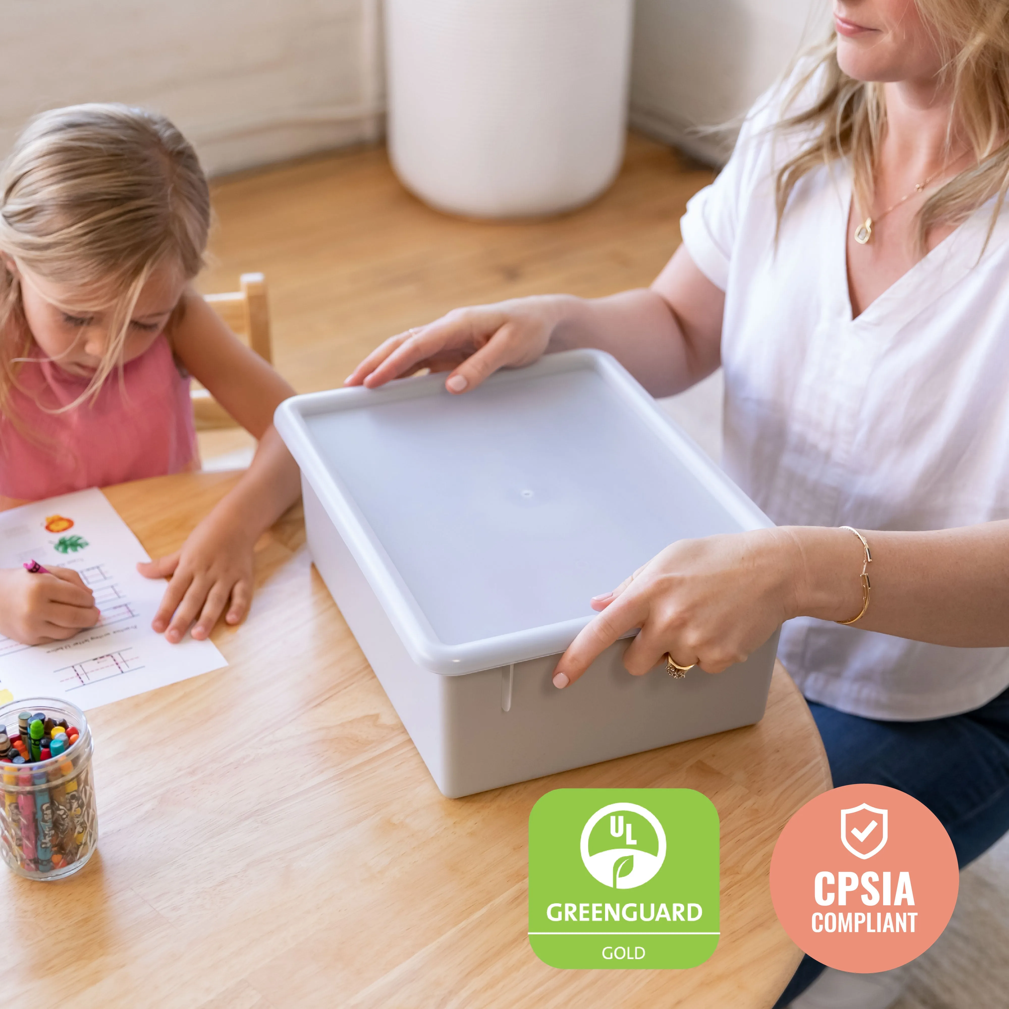 Letter Size Deep Tray with Lid, Storage Bin, 10-Piece