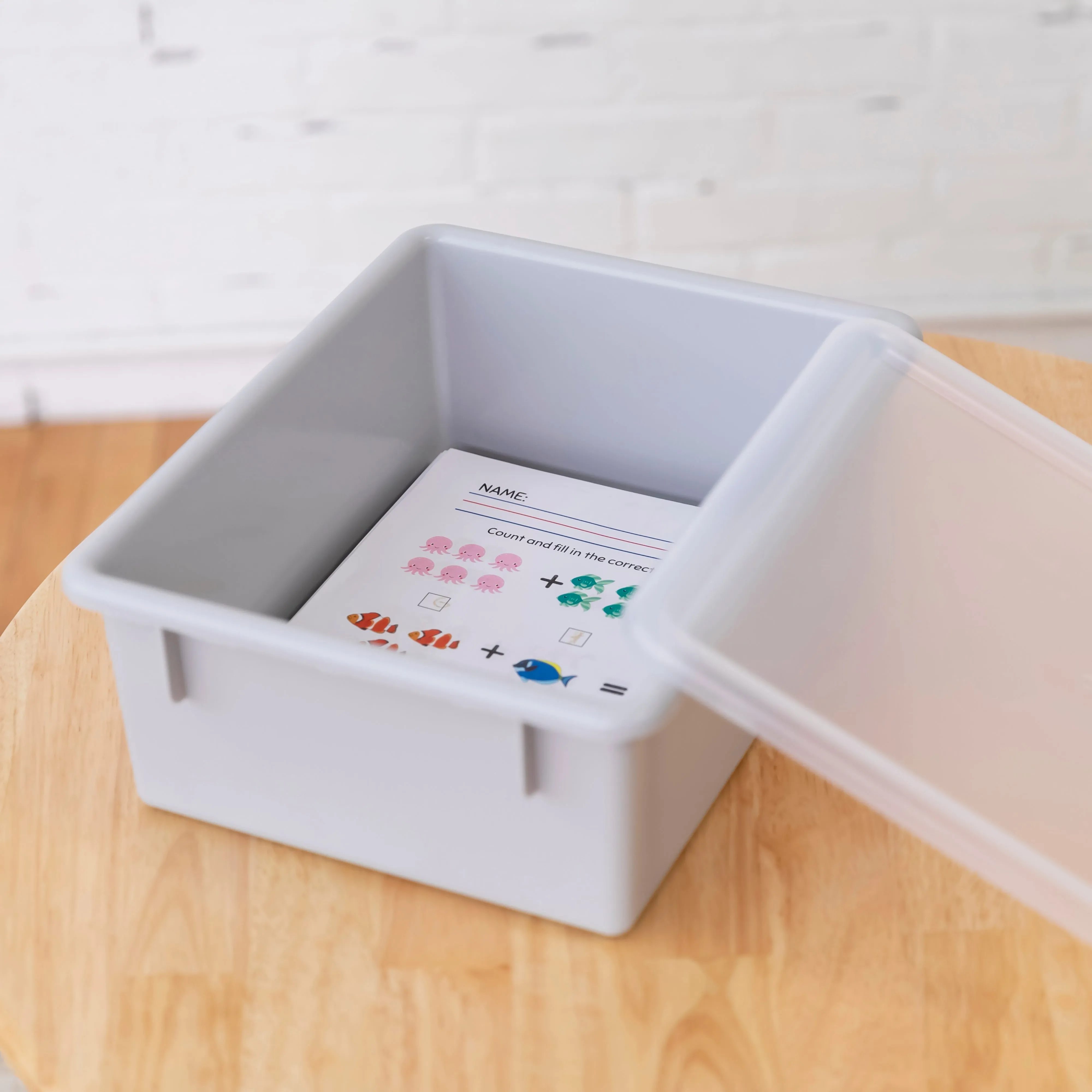 Letter Size Deep Tray with Lid, Storage Bin, 10-Piece
