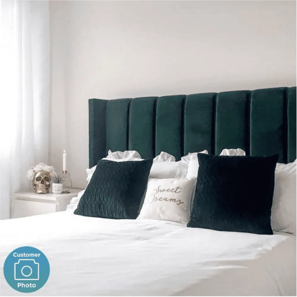 Maddox Upholstered Bed in Black/Green Colour