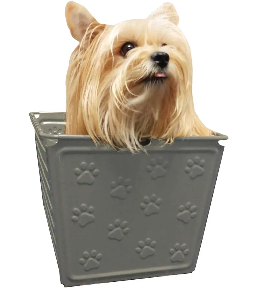 Paw Print Shelf Bin