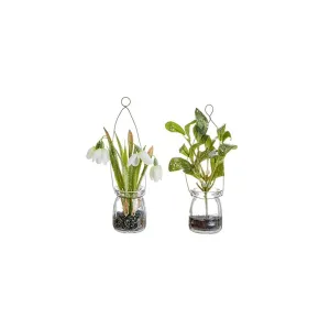 Premier 20cm Potted Snowdrop Mistletoe (Choice of 2)