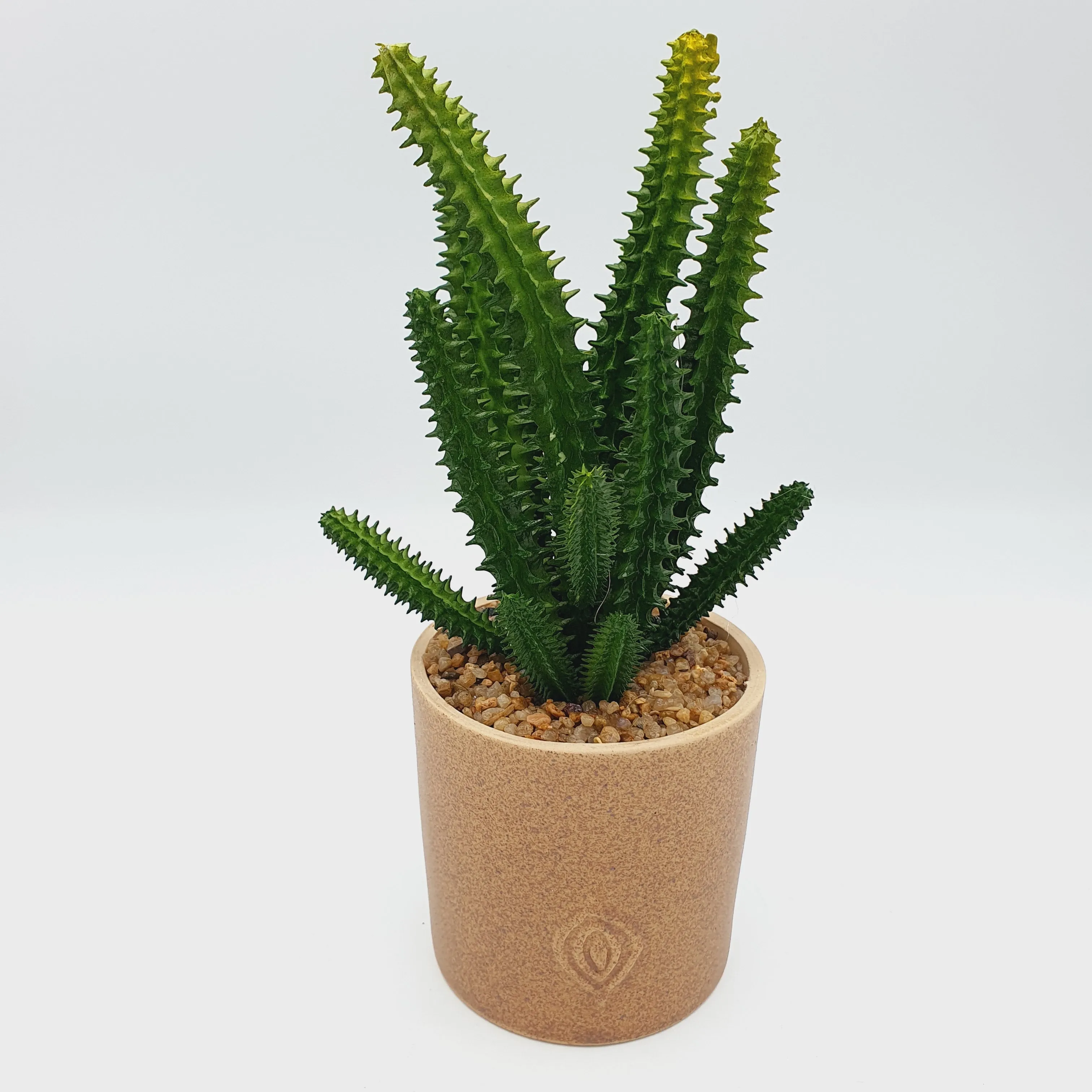 Sandy Texture Porcelain Plant Pot