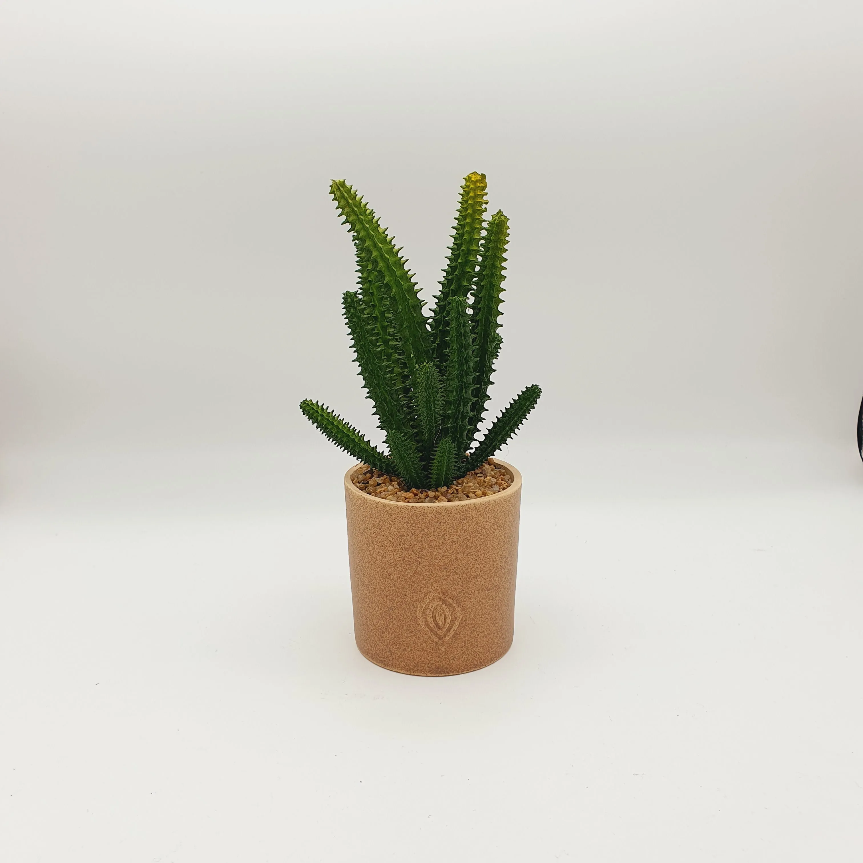 Sandy Texture Porcelain Plant Pot
