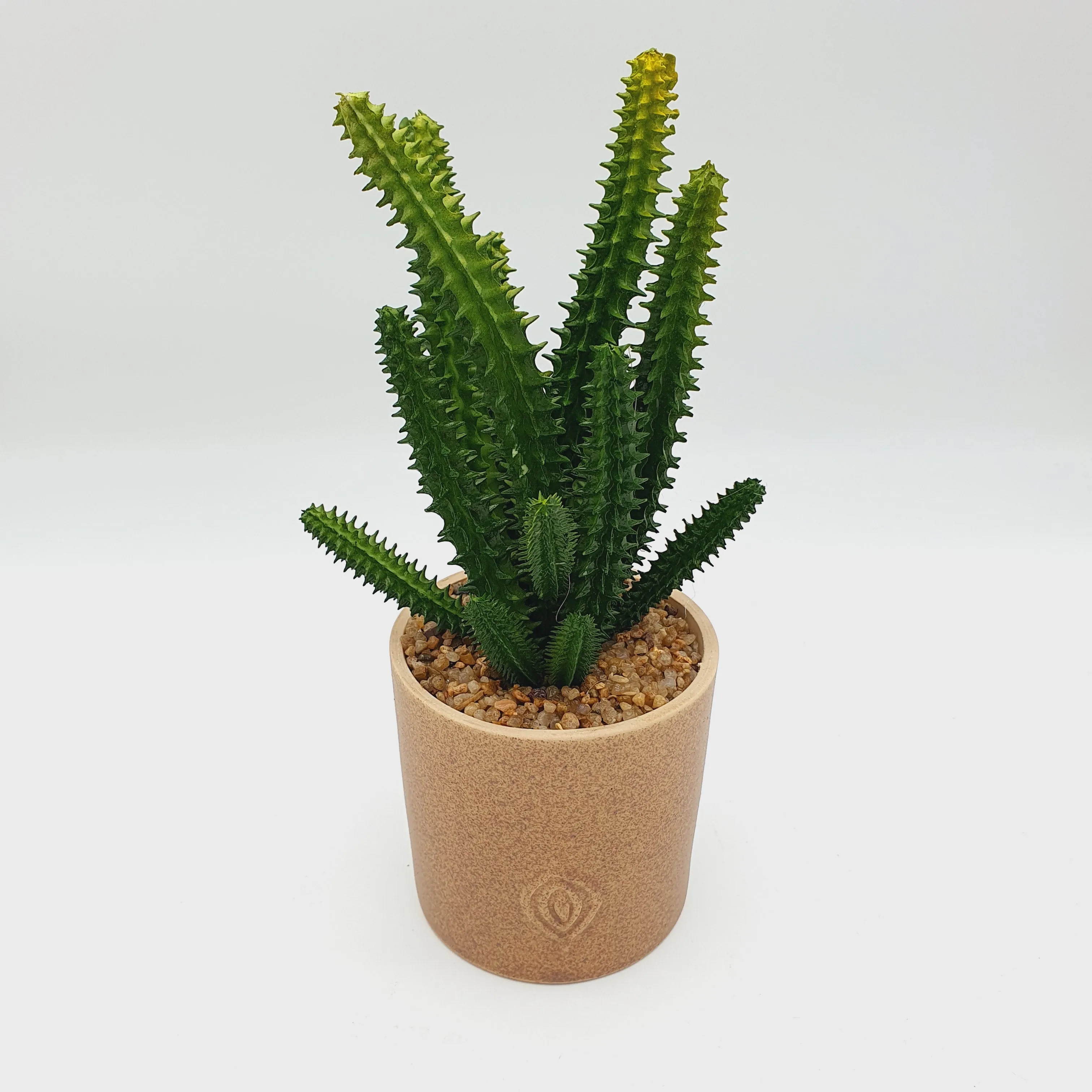 Sandy Texture Porcelain Plant Pot