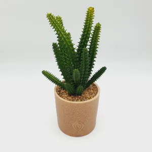 Sandy Texture Porcelain Plant Pot