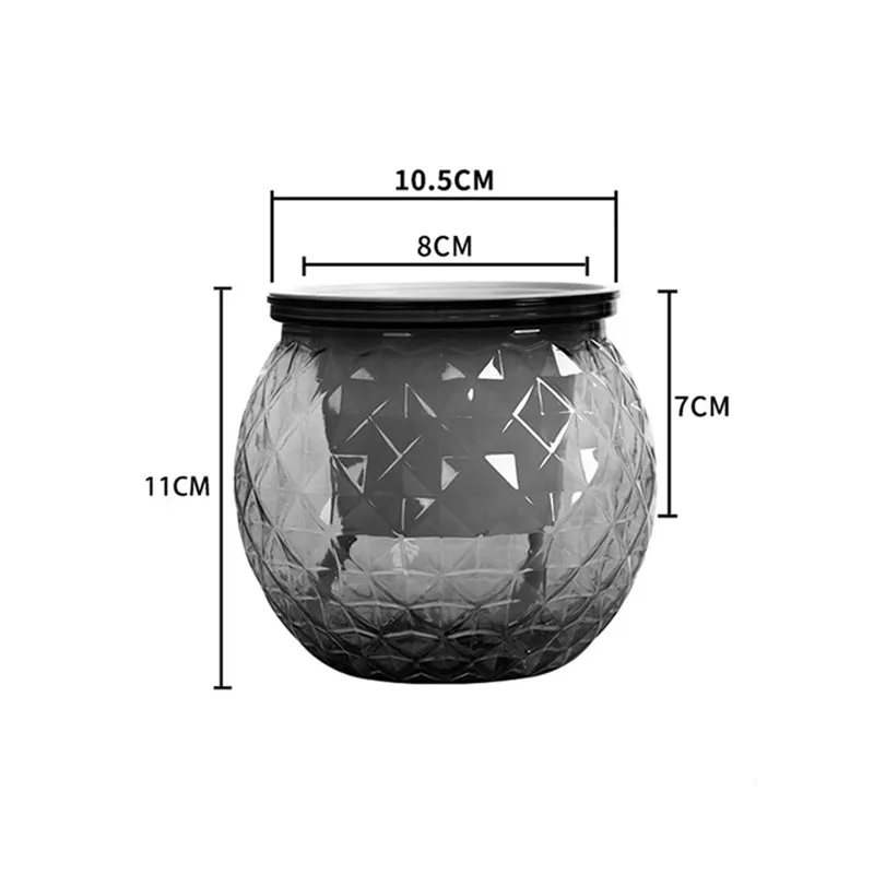 Self-Watering Succulent Plant Pot with Fish Tank
