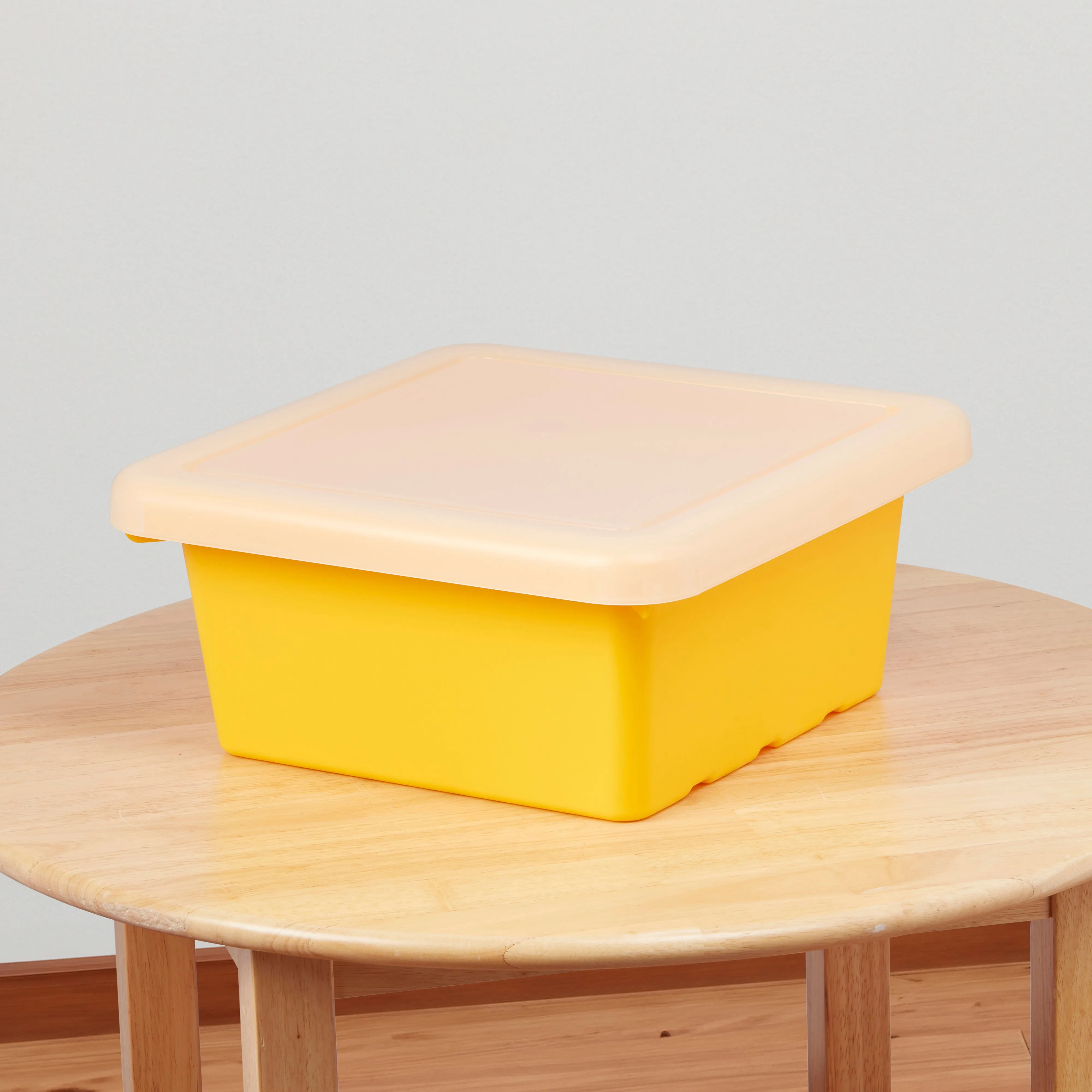 Square Bin with Lid, Storage Containers, 2-Pack