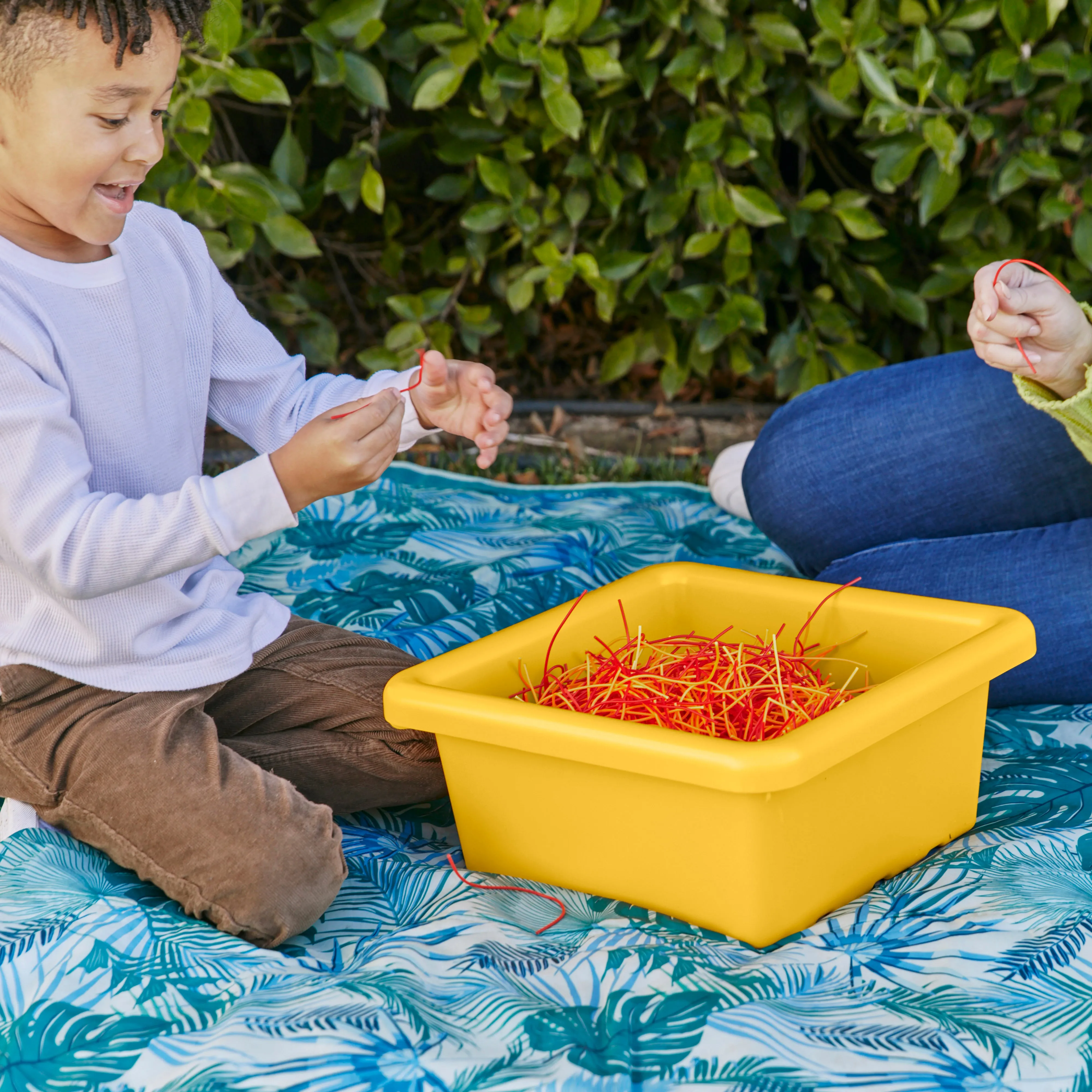 Square Bin with Lid, Storage Containers, 2-Pack