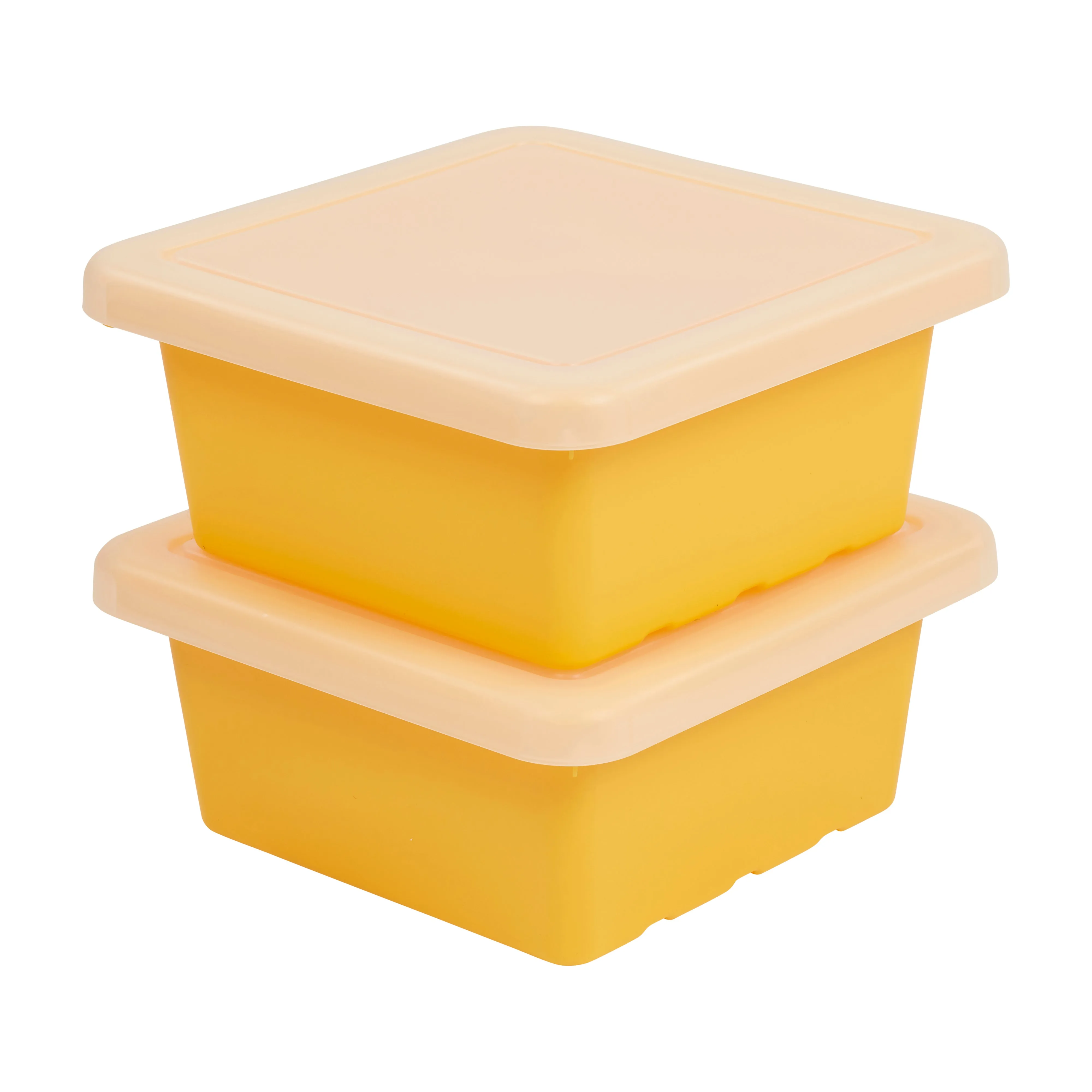 Square Bin with Lid, Storage Containers, 2-Pack