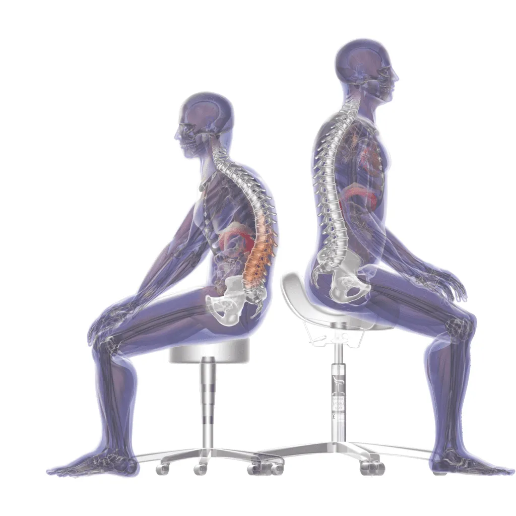 The Bambach – The Original Ergonomic Saddle Chair with Backrest
